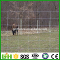 Usine d&#39;approvisionnement Cercle de prairie / bétail Clôture de grillage / clôture de terrain